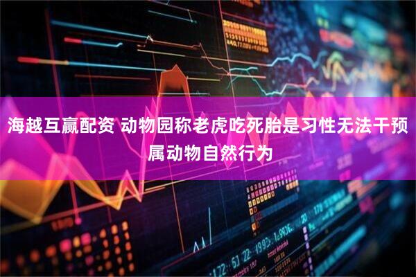 海越互赢配资 动物园称老虎吃死胎是习性无法干预 属动物自然行为